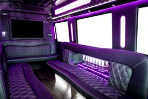 toronto party bus